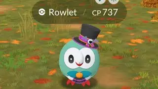 Shiny Costume Rowlett in Pokemon GO!