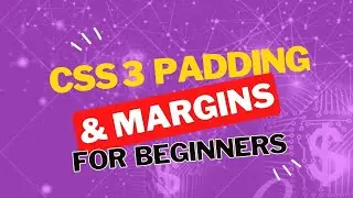 CSS Bliss: Padding & Margin !! 