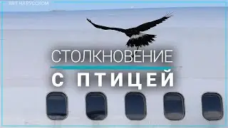 Столкновение с птицей привело к возгоранию двигателя в американском самолете