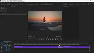 Videoguida - Effetto Morphing Video ed Immagini, Transizione Morph Cut in Premiere Pro, Trasforma