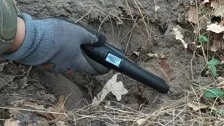 Полевой тест Пинпоинтера с экраном. LCD Display Pinpointer Metal Detector real test