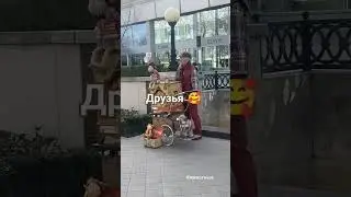 Жизнь с животными бывает разной, но мне нравится, как мужчина придумал 🥰 
