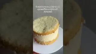 Какого размера бенто торты на самом деле?
