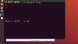 Python Automation - Flow Control Breaks