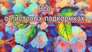 Все о внекорневой подкормке!