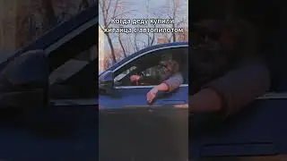 Дед на китайском внедорожнике LIXIANG L7