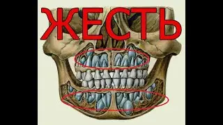 ПОЧЕМУ ЗУБ БОЛИТ ИМЕННО НОЧЬЮ?