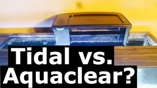 Review on Tidal 110 vs Aquaclear 110 - better?
