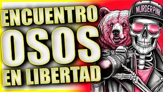 Fotografía de OSOS en ESPAÑA Asturias con OM System OM1II + 150-400 con AYUDA de SOMIEDO EXPERIENCE