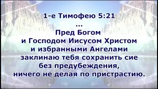 Вселенская церковь, созданная Господом Богом. Религиям - НЕТ. Деноминации не входят в планы Господа.