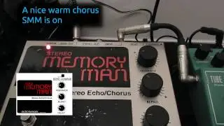 PlugNPlay (PNP): Electro Harmonix Stereo Memory Man - The vintage sound