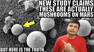 Paper Claims Discovery of Mushrooms on Mars, But What Are They?