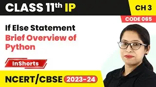 If Else Statement - Brief Overview of Python | Class 11 Informatics Practices #2023-24