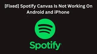 [Fixed] Spotify Canvas Is Not Working On Android and iPhone