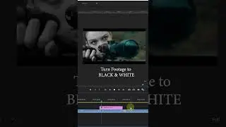 Turn Footage to Black and White Tutorial in Premier PRO I theVfxdudes I