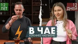 Что можно понять, если 12 лет пить чай? | Стрим Art of Tea