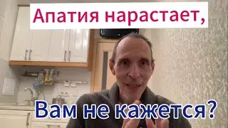Магазин Красное и Белое. Какое вино и шампанское надо брать, а какое не надо.