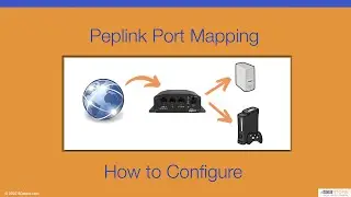 Port Mapping on the Peplink MAX BR1 - How to Configure