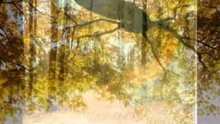 Seni arzu eder didelerim avi