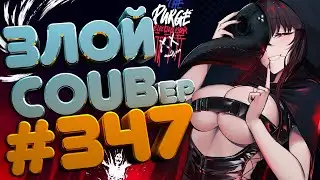 ЗЛОЙ BEST COUB Forever 