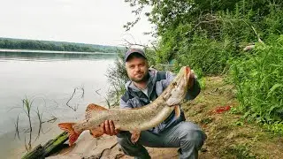 Рыбалка на ОКЕ с берега. Ловля ЩУКИ и СУДАКА на спиннинг. Джиг ловля на ПОРОЛОН и СИЛИКОН.