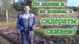 Как подготовить огород к зимней спячке! Из Столицы в Деревню!