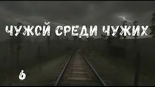 Чужой среди чужих #6 Пёс Кота. Аномальное растение Пространственный пузырь. Ловушка. Поход на Свалку