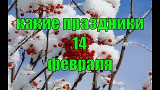 какой сегодня праздник? \ 14 февраля \ праздник каждый день \ праздник к нам приходит \ есть повод
