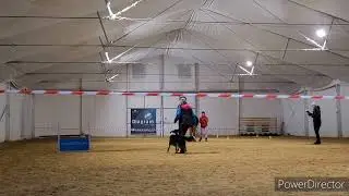 Mind the Dog Warden Obedience 1 competition 280,5 Excellent