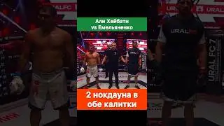 Калмыков зашёл в раздевалку ко мне и навредил! — Али Хейбати vs Емельяненко.