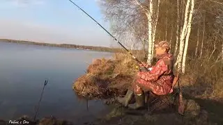 Весь Берег в Донках Карась зашевелился! НОВЫЕ Кормушки на Леща!