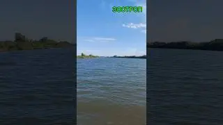 Река Днестр. Путешествие в мертвый лес. Рыбалка. Туризм. Птицы. Отдых. Маяки сегодня. #зоотроп