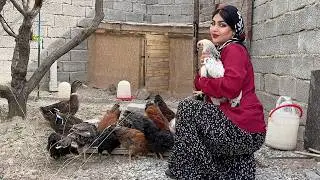 🐔🔥Chicken Slaughter and a Delicious Kebab by Iranian Village Girl | Rural Cooking | Rural Life Iran