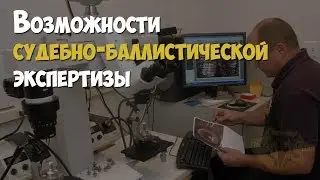 Криминалистика. Возможности судебно-баллистической экспертизы в раскрытии преступлений