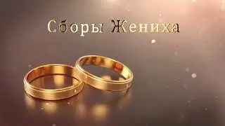 3.3 Свадебные Футажи.  Сборы Жениха ( Золотые Кольца )