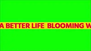 Self Intro Lower Third Template Design Green Screen Free Video