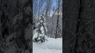 🇷🇺