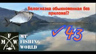 43)My Fishing World Белоглазка обыкновенная без прилова!?