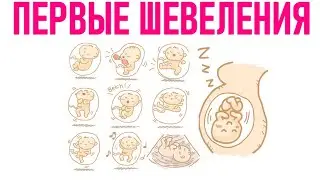 СРОК ПОЯВЛЕНИЯ ПЕРВОГО ШЕВЕЛЕНИЯ ВО ВРЕМЯ БЕРЕМЕННОСТИ | На каком сроке начинает шевелиться ребенок