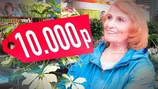 На что потратит бабушка 10.000 рублей? АЙДЭН