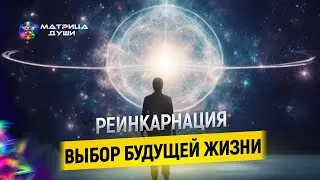 Выбор будущей жизни. Реинкарнация