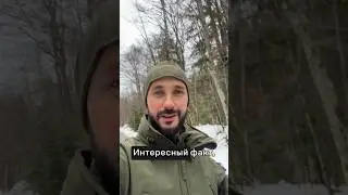 Факты от адвоката #shotrs #адвокат #интересно