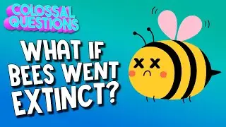 What If Bees Went Extinct? | COLOSSAL QUESTIONS