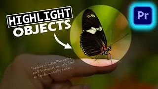 HOW TO HIGHLIGHT OBJECT IN PREMIERE PRO