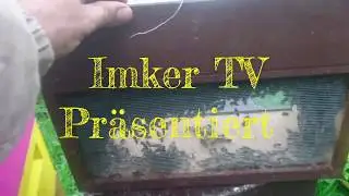 Искуственный рой.