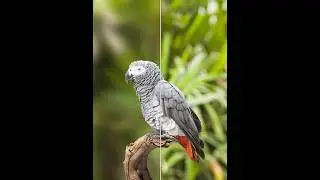 Photoshop Tutorial 2024 - How to Create a Super Blur Effect 