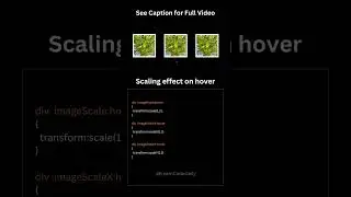 CSS Transform Property || 2D Transform Using HTML & CSS || Scaling #viral #video #shorts