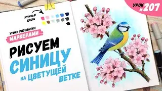 Как нарисовать синицу на цветущей ветке? / Видео-урок по рисованию маркерами #207