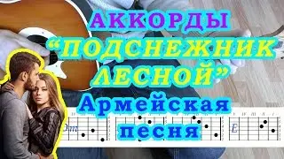 Шли по лесу парень с девчонкой Подснежник лесной Аккорды Армейская песня Разбор на гитаре Бой Текст