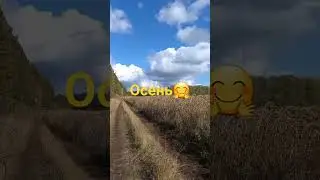 Осень👍